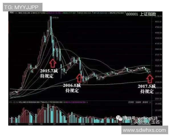 独家解析西安排球队实力对比及其影响因素分析