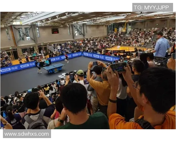 体育实时数据广州乒乓球队团队协作变革引发热议助力竞技水平提升