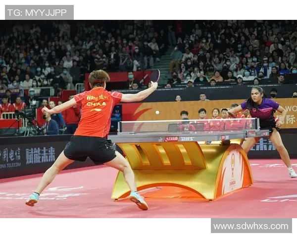 体育实时数据探寻周敏的乒乓球人生之路与深度对话的背后故事