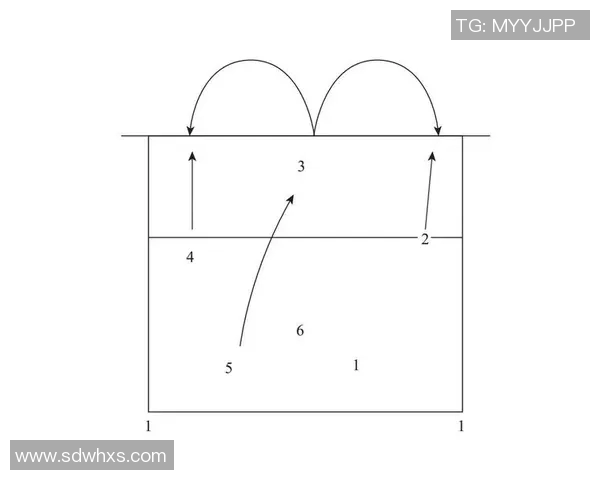 运动最新数据深度分析深圳排球队进攻战术及其在比赛中的应用策略